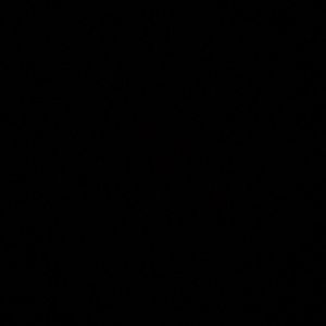 Meet your Posher, Sofia